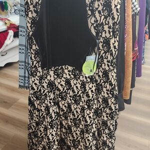 Windsor Black and Cream Floral Lace Backless Dress